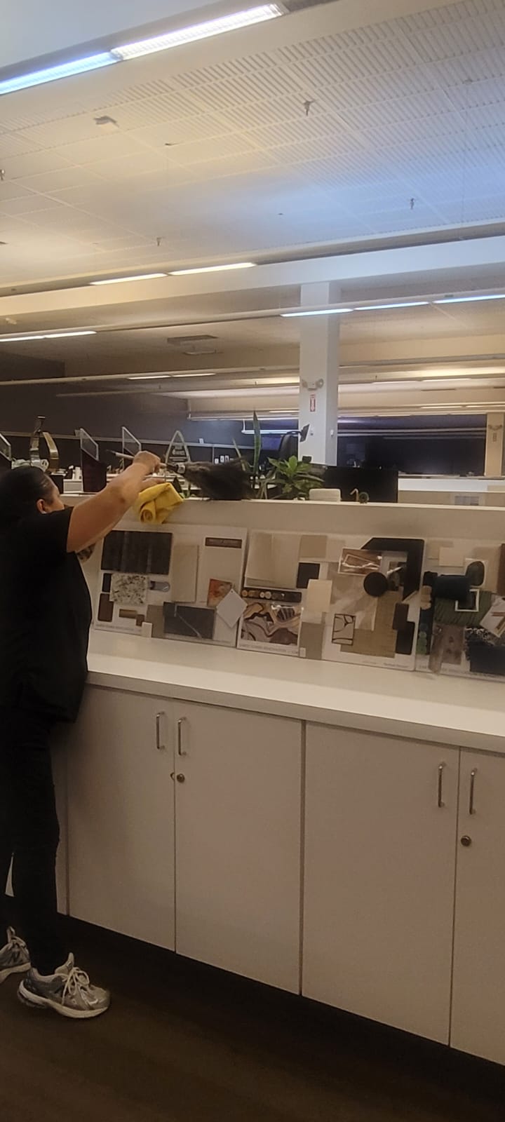 Person cleaning a white office partition with a yellow cloth in a modern workspace with design samples on the divider.